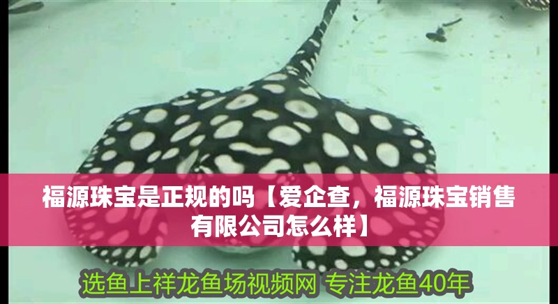 福源珠寶是正規的嗎【愛企查，福源珠寶銷售有限公司怎么樣】