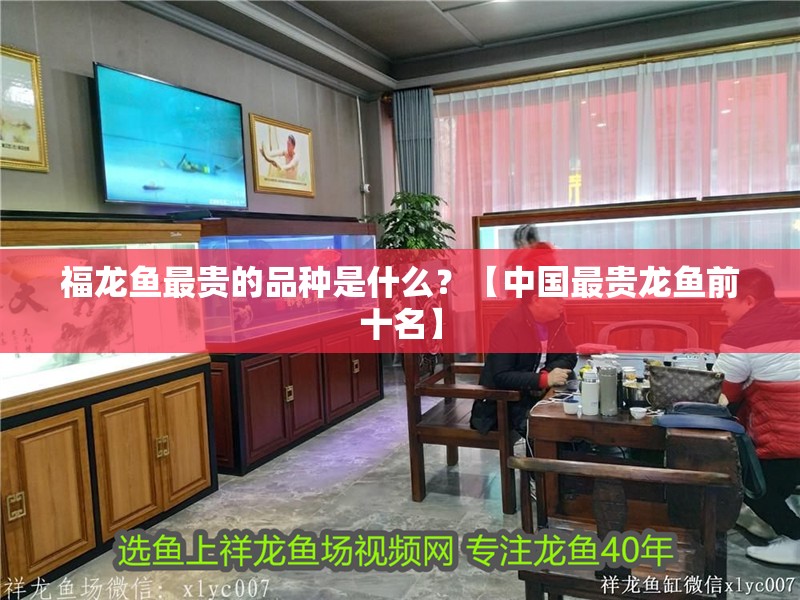 福龍魚最貴的品種是什么？【中國最貴龍魚前十名】