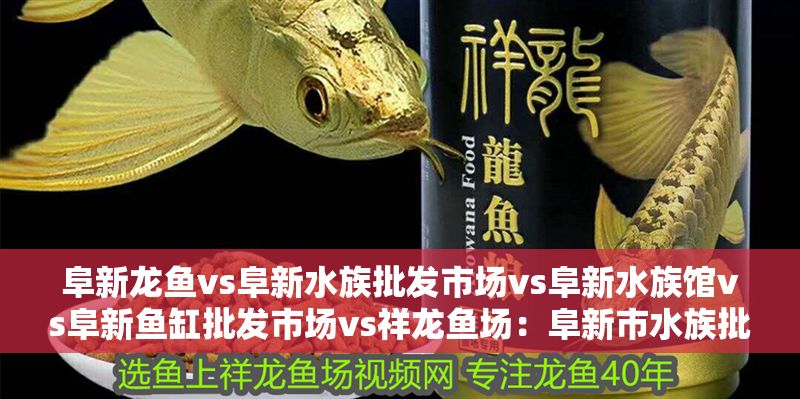 阜新龍魚(yú)vs阜新水族批發(fā)市場(chǎng)vs阜新水族館vs阜新魚(yú)缸批發(fā)市場(chǎng)vs祥龍魚(yú)場(chǎng)：阜新市水族批發(fā)市場(chǎng)