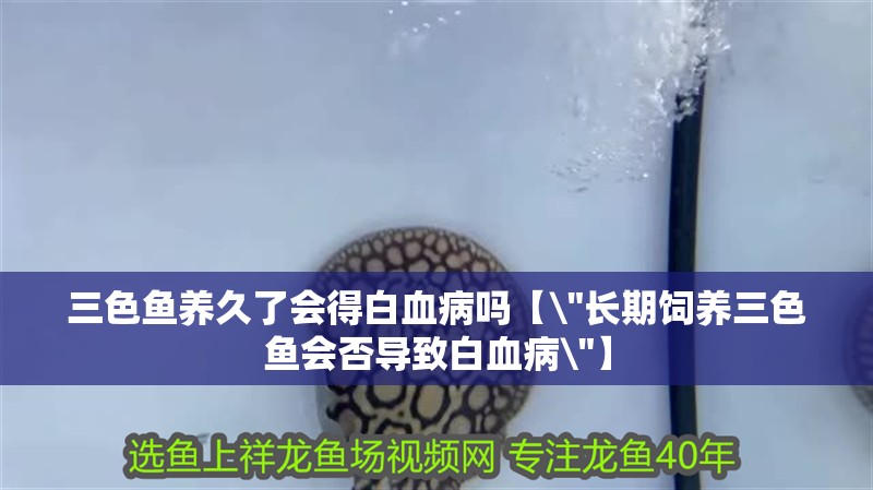 三色魚養久了會得白血病嗎【\