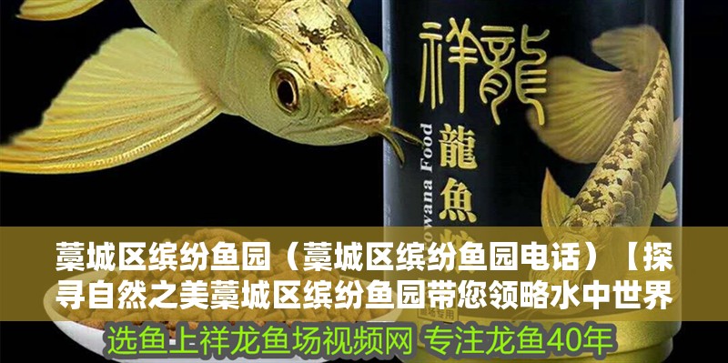 藁城區繽紛魚園（藁城區繽紛魚園電話）【探尋自然之美藁城區繽紛魚園帶您領略水中世界】