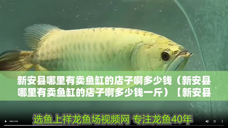 新安縣哪里有賣魚缸的店子啊多少錢（新安縣哪里有賣魚缸的店子啊多少錢一斤）【新安縣哪里有賣魚缸的店子】
