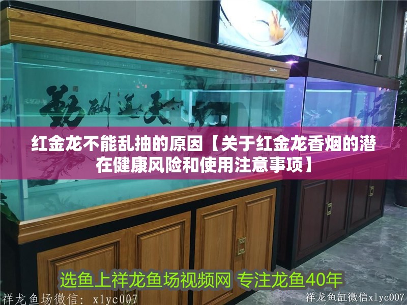 紅金龍不能亂抽的原因【關(guān)于紅金龍香煙的潛在健康風(fēng)險和使用注意事項】