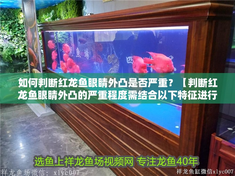 如何判斷紅龍魚眼睛外凸是否嚴重？【判斷紅龍魚眼睛外凸的嚴重程度需結合以下特征進行評估】