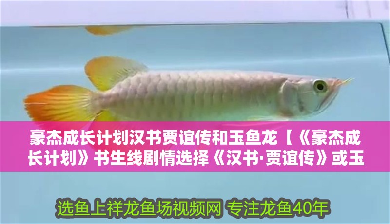 豪杰成長計劃漢書賈誼傳和玉魚龍【《豪杰成長計劃》書生線劇情選擇《漢書·賈誼傳》或玉豬龍分支選項】