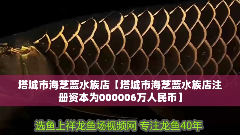 塔城市海芝藍水族店【塔城市海芝藍水族店注冊資本為000006萬人民幣】
