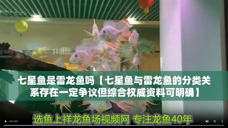 七星魚是雷龍魚嗎【七星魚與雷龍魚的分類關系存在一定爭議但綜合權威資料可明確】