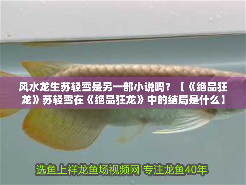 風水龍生蘇輕雪是另一部小說嗎？【《絕品狂龍》蘇輕雪在《絕品狂龍》中的結局是什么】