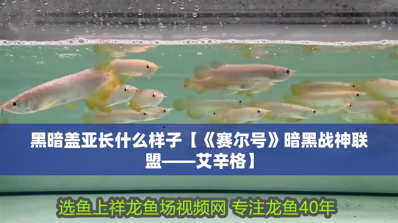 黑暗蓋亞長什么樣子【《賽爾號》暗黑戰神聯盟——艾辛格】