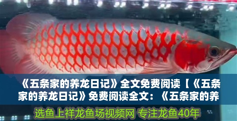 《五條家的養(yǎng)龍日記》全文免費(fèi)閱讀【《五條家的養(yǎng)龍日記》免費(fèi)閱讀全文：《五條家的養(yǎng)龍日記》】