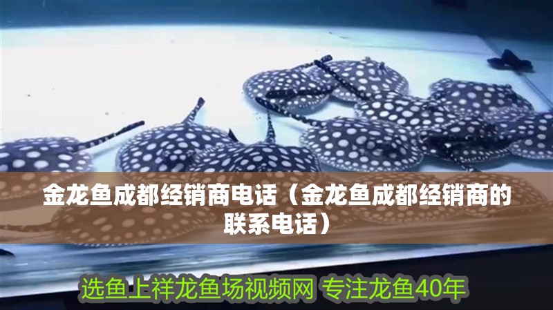 金龍魚成都經銷商電話（金龍魚成都經銷商的聯系電話）