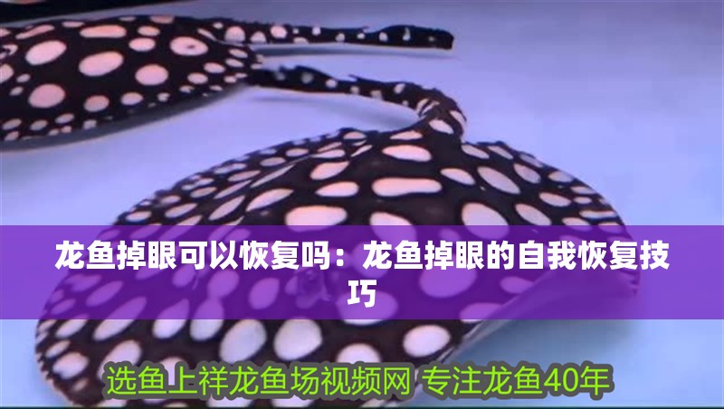 龍魚掉眼可以恢復嗎：龍魚掉眼的自我恢復技巧