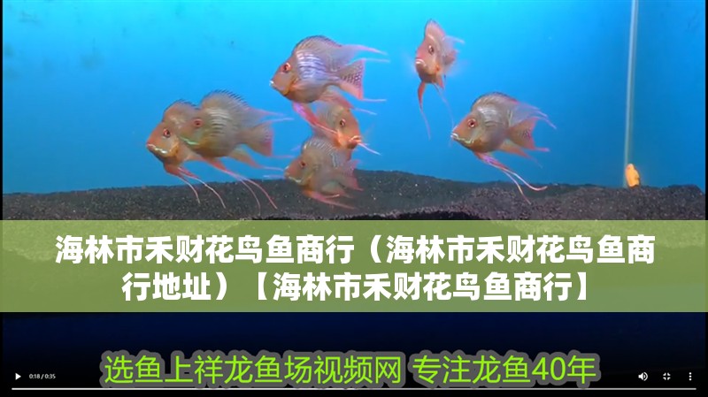 海林市禾財花鳥魚商行（海林市禾財花鳥魚商行地址）【海林市禾財花鳥魚商行】