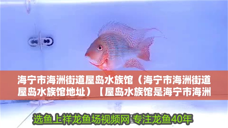 海寧市海洲街道屋島水族館（海寧市海洲街道屋島水族館地址）【屋島水族館是海寧市海洲街道的一座知名景點】