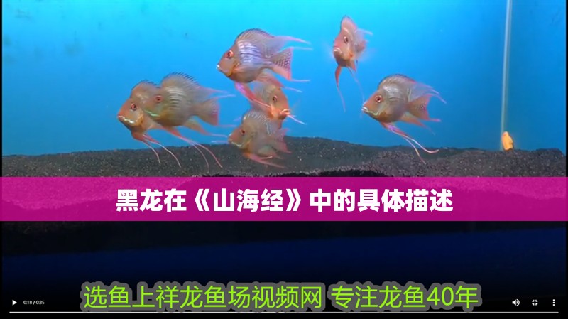 黑龍在《山海經》中的具體描述