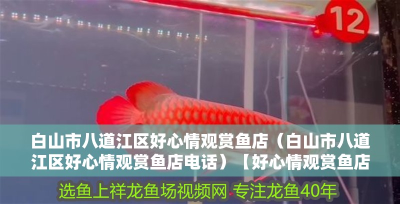 白山市八道江區好心情觀賞魚店（白山市八道江區好心情觀賞魚店電話）【好心情觀賞魚店】