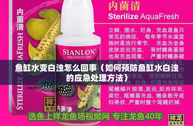 魚缸水變白濁怎么回事（如何預(yù)防魚缸水白濁的應(yīng)急處理方法）