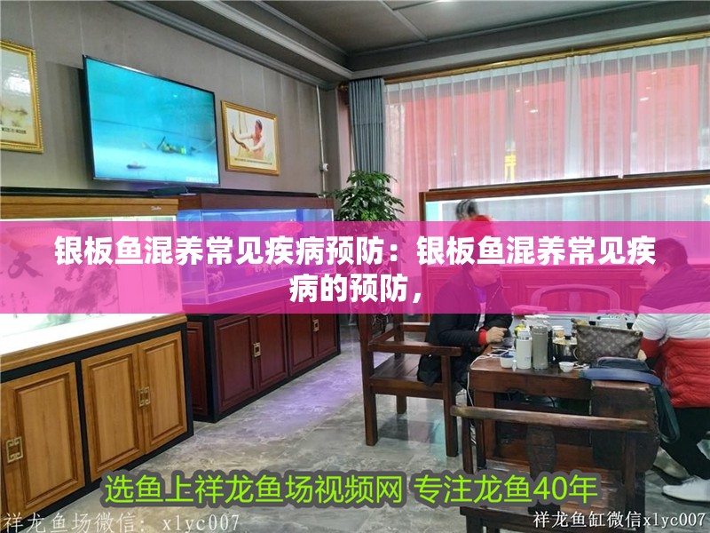 銀板魚(yú)混養(yǎng)常見(jiàn)疾病預(yù)防：銀板魚(yú)混養(yǎng)常見(jiàn)疾病的預(yù)防，