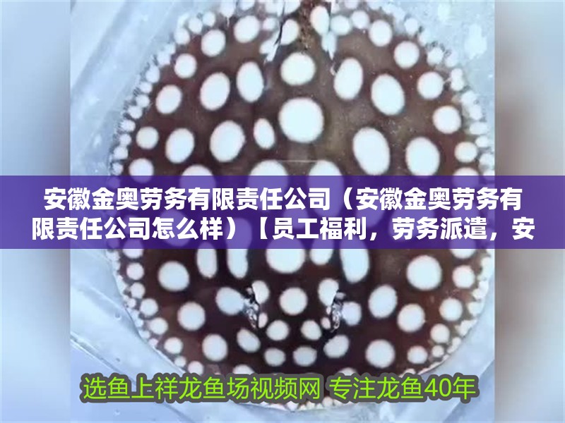 <strong><mark>安徽</mark></strong>金奧勞務有限責任公司（<strong><mark>安徽</mark></strong>金奧勞務有限責任公司怎么樣）【員工福利，勞務派遣，<strong><mark>安徽</mark></strong>金奧勞務有限責任公司】