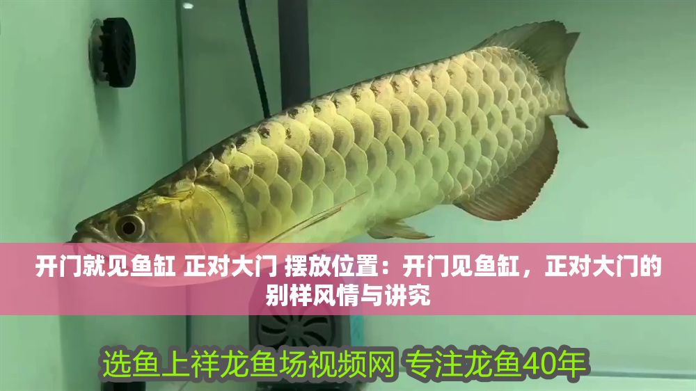 開門就見魚缸 正對大門 擺放位置：開門見魚缸，正對大門的別樣風情與講究