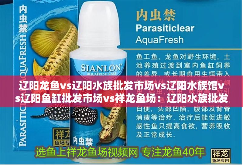 遼陽龍魚vs遼陽水族批發市場vs遼陽水族館vs遼陽魚缸批發市場vs祥龍魚場：遼陽水族批發市場