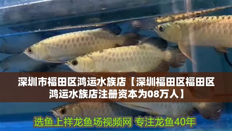龍魚怕什么 深圳市福田區鴻運水族店【深圳福田區福田區鴻運水族店注冊資本為08萬人】 全國水族館企業名錄 深圳市福田區鴻運水族店【深圳福田區福田區鴻運水族店注冊資本為08萬人】 深圳市福田區鴻運水族店【深圳福田區福田區鴻運水族店注冊資本為08萬人】 全國水族館企業名錄