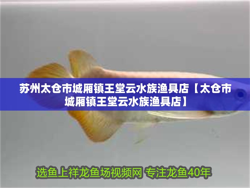 蘇州太倉市城廂鎮王堂云水族漁具店【太倉市城廂鎮王堂云水族漁具店】