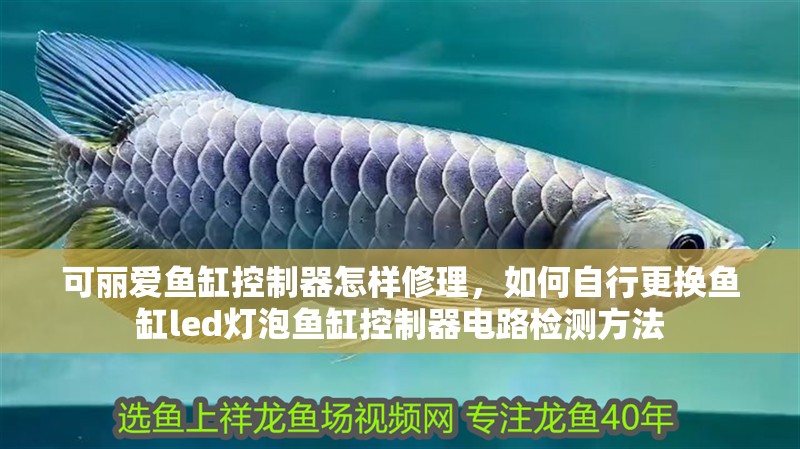可麗愛魚缸控制器怎樣修理，如何自行更換魚缸led燈泡魚缸控制器電路檢測方法