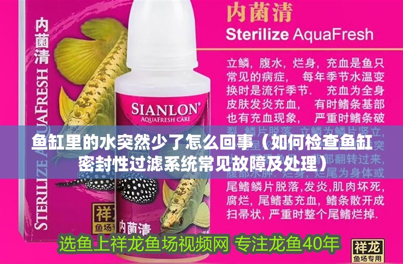 魚(yú)缸里的水突然少了怎么回事（如何檢查魚(yú)缸密封性過(guò)濾系統(tǒng)常見(jiàn)故障及處理）