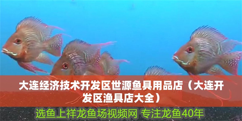 大連經(jīng)濟技術開發(fā)區(qū)世源魚具用品店（大連開發(fā)區(qū)漁具店大全）