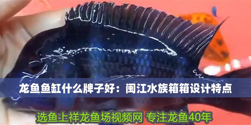 龍魚魚缸什么牌子好：閩江水族箱箱設計特點