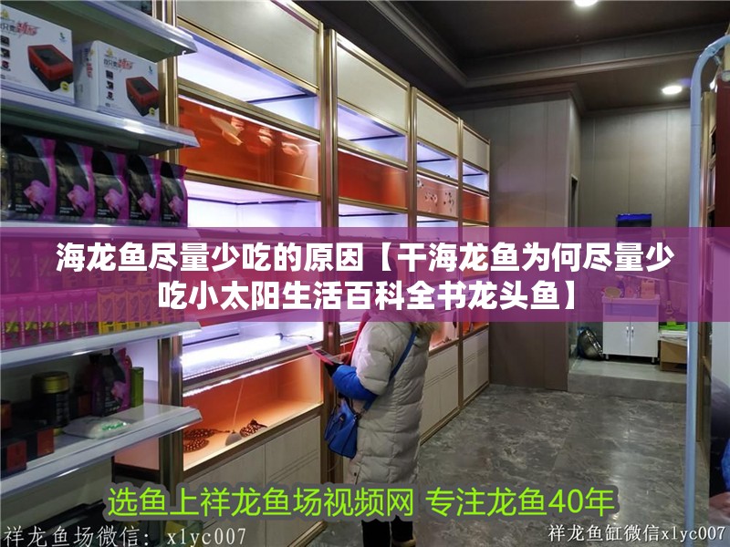 海龍魚盡量少吃的原因【干海龍魚為何盡量少吃小太陽生活百科全書龍頭魚】