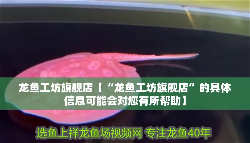 龍魚工坊旗艦店【“龍魚工坊旗艦店”的具體信息可能會對您有所幫助】