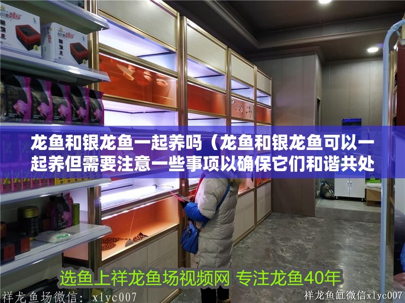 龍魚和銀龍魚一起養(yǎng)嗎（龍魚和銀龍魚可以一起養(yǎng)但需要注意一些事項以確保它們和諧共處）