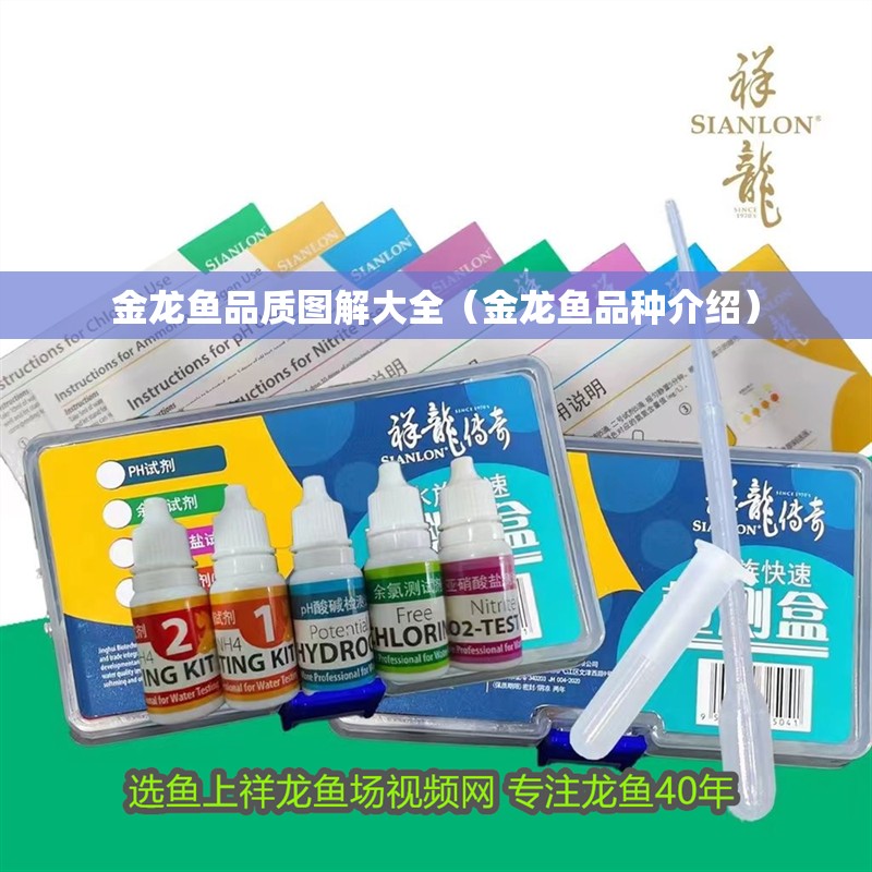 金龍魚品質圖解大全（金龍魚品種介紹）