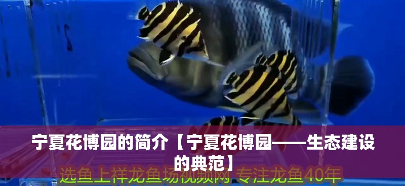 寧夏花博園的簡介【寧夏花博園——生態建設的典范】