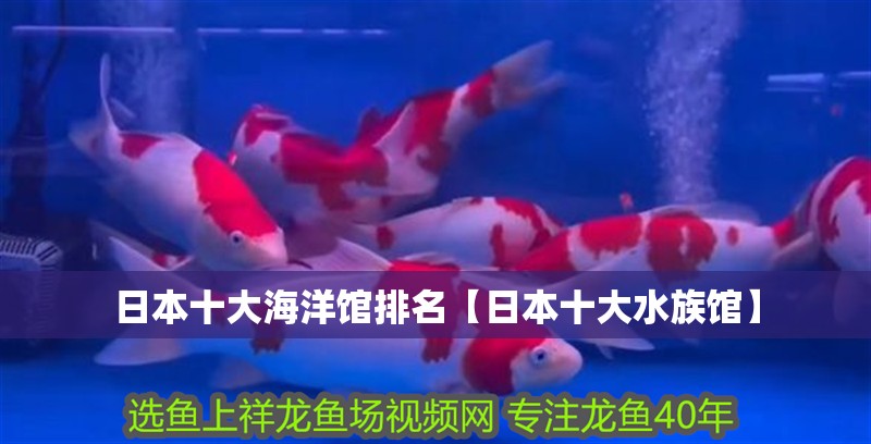 日本十大海洋館排名【日本十大水族館】