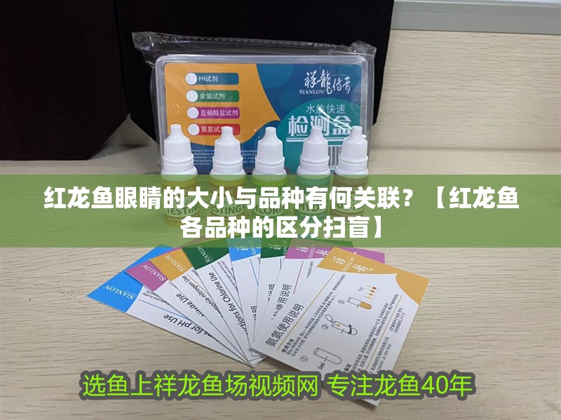 紅龍魚眼睛的大小與品種有何關聯？【紅龍魚各品種的區分掃盲】
