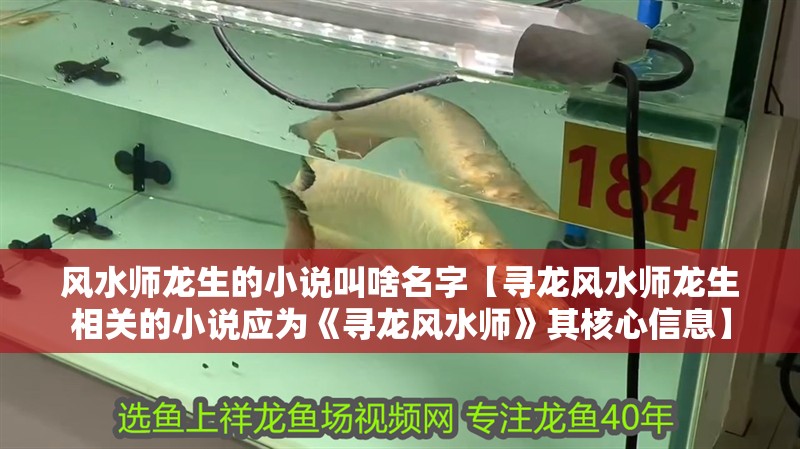風水師龍生的小說叫啥名字【尋龍風水師龍生相關的小說應為《尋龍風水師》其核心信息】
