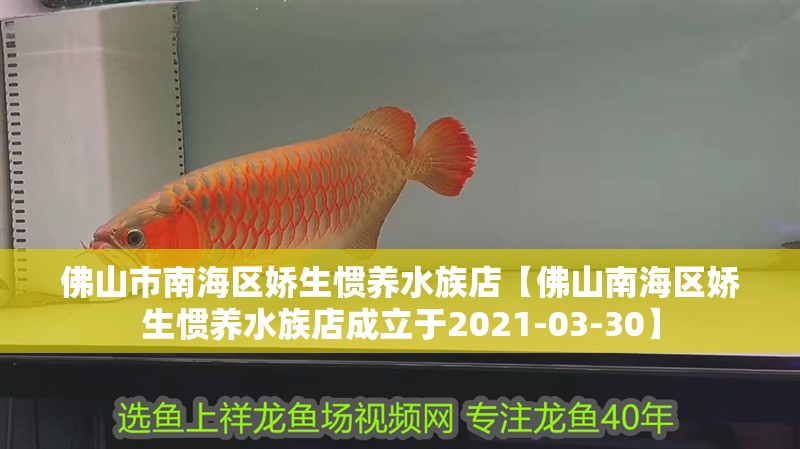 佛山市南海區(qū)嬌生慣養(yǎng)水族店【佛山南海區(qū)嬌生慣養(yǎng)水族店成立于2021-03-30】