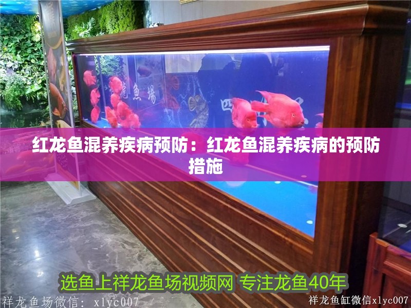 紅龍魚(yú)混養(yǎng)疾病預(yù)防：紅龍魚(yú)混養(yǎng)疾病的預(yù)防措施