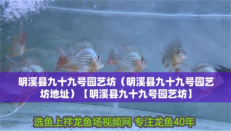 <strong><mark>明溪</mark></strong>縣九十九號園藝坊（<strong><mark>明溪</mark></strong>縣九十九號園藝坊地址）【<strong><mark>明溪</mark></strong>縣九十九號園藝坊】