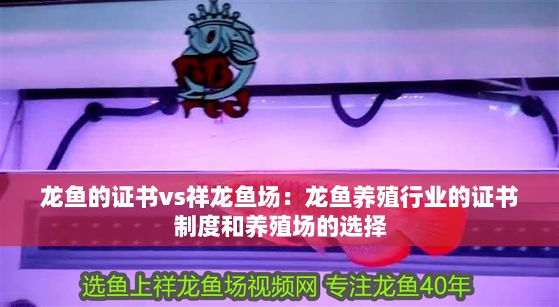 龍魚的證書vs祥龍魚場：龍魚養殖行業的證書制度和養殖場的選擇