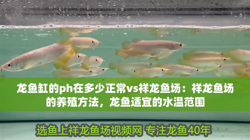 龍魚缸的ph在多少正常vs祥龍魚場：祥龍魚場的養殖方法，龍魚適宜的水溫范圍