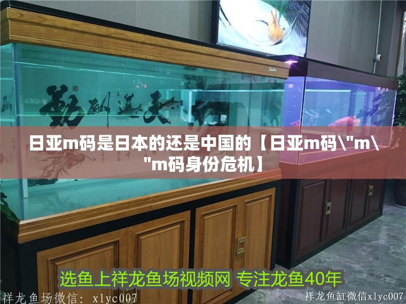 日亞m碼是日本的還是中國的【日亞m碼\