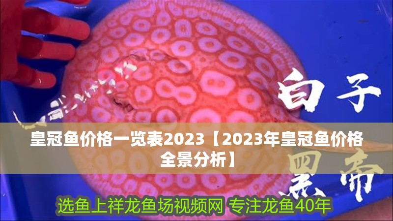 皇冠魚(yú)價(jià)格一覽表2023【2023年皇冠魚(yú)價(jià)格全景分析】