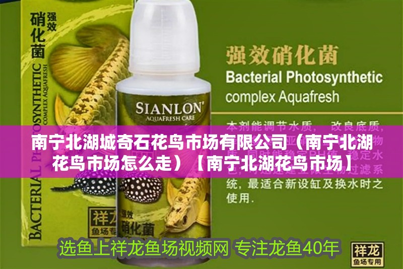 南寧北湖城奇石花鳥市場有限公司（南寧北湖花鳥市場怎么走）【南寧北湖花鳥市場】