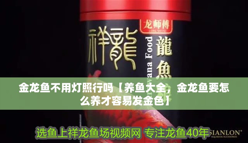 金龍魚不用燈照行嗎【養魚大全，金龍魚要怎么養才容易發金色】