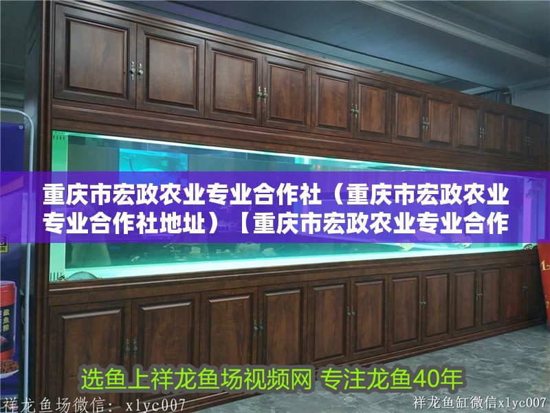 重慶市宏政農(nóng)業(yè)專業(yè)合作社（重慶市宏政農(nóng)業(yè)專業(yè)合作社地址）【重慶市宏政農(nóng)業(yè)專業(yè)合作社】