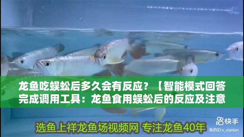 龍魚吃蜈蚣后多久會有反應？【智能模式回答完成調用工具：龍魚食用蜈蚣后的反應及注意事項】